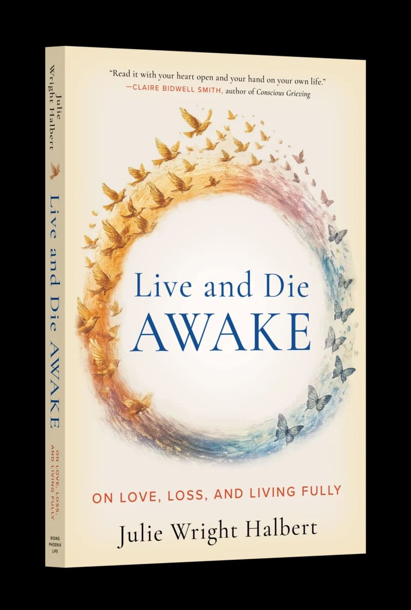 A copy of Live and Die Awake standing upright, seen from an angle